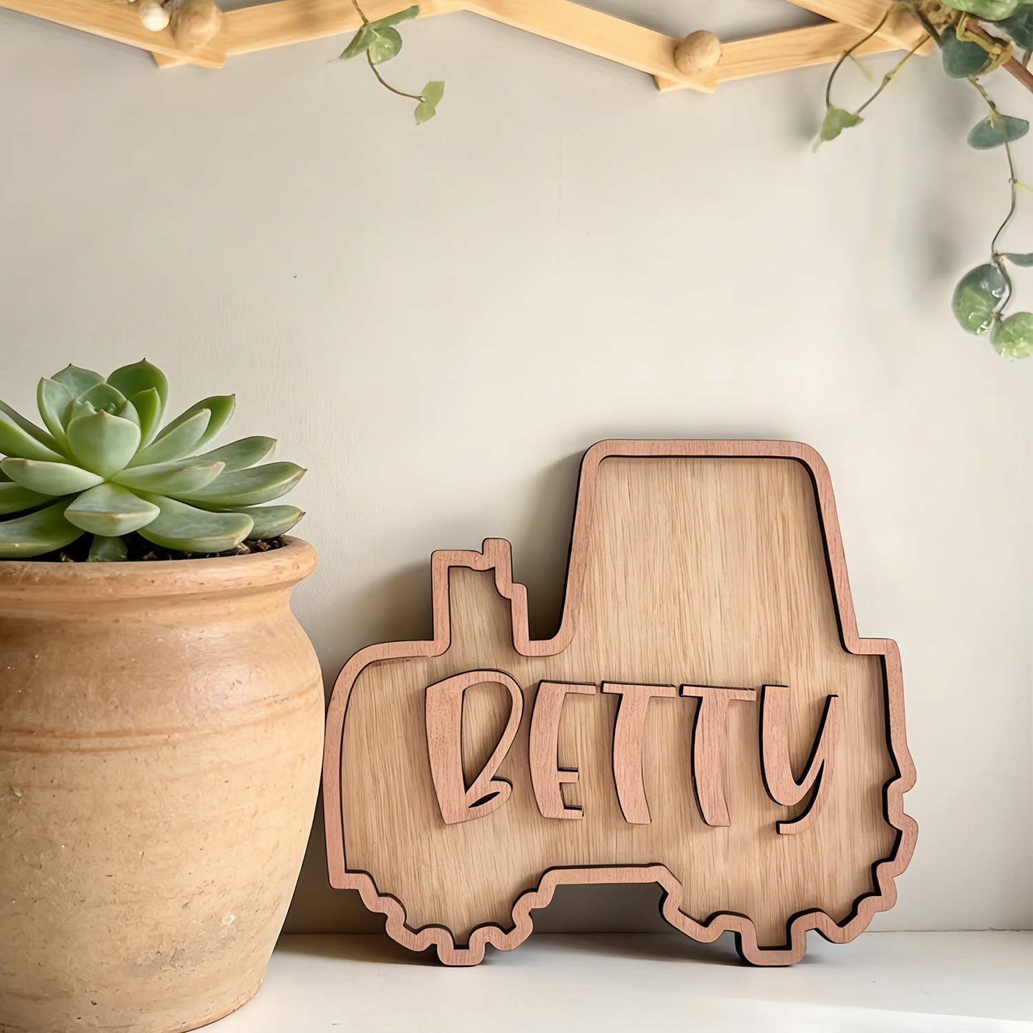1pc customizable double-layer  - Wedding Souvenir review and price